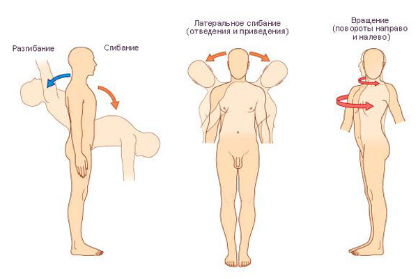 Упражнения для позвоночника